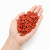 Groothandel Topkwaliteit Biologische Gedroogde Gojibessen Natuurlijk Zoete Rode Wolfberry Ningxia Oorsprong Superfood Fruit voor Bakkerijen