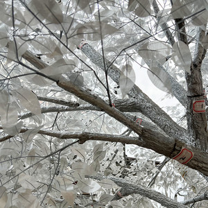 Albero <span class=keywords><strong>di</strong></span> Ficus Artificiale Decorativo Personalizzato <span class=keywords><strong>di</strong></span> Alta Qualità, Aspetto Naturale, Resistente ai Raggi UV, Tronco <span class=keywords><strong>di</strong></span> 3 m per Casa, Giardino, Interni ed <span class=keywords><strong>Esterni</strong></span> - Product Image 4