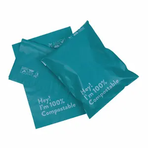Embalaje con logotipo impreso personalizado, venta al por mayor, 10x13, ecológico, verde azulado, poliéster, envío de bolsas para ropa