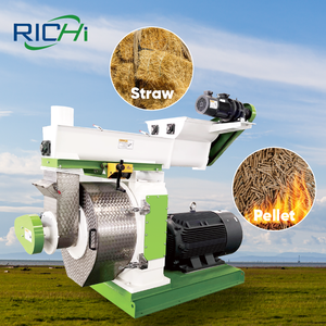 Richi thiết kế mới 3-4t/h đậu phộng rơm PELLET giá máy - Product Image 1