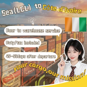Agent de transport maritime de fret de Chine Guangzhou vers la Côte d'Ivoire par voie maritime vers l'entrepôt outre-mer - Product Image 1