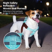 Harnais pour chien en forme de Y respirant et anti-étranglement, léger et entièrement réfléchissant, avec laisse, pour grossistes et détaillants de produits pour animaux de compagnie