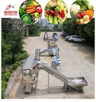 Automatische Bevroren Fruit En Groente Productielijn Fruit Wasdrooglijn/Bevroren Groenteverwerkingslijn