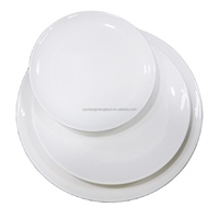 Ensemble de table à manger en porcelaine de qualité AB blanche écologique avec logo personnalisable, plat de service durable pour buffet, plat de service pour hôtels