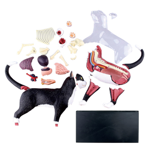 Modelos Anatómicos 4D de Animales para Uso Médico, Modelos de Órganos Internos de Gato, Perro, <span class=keywords><strong>Cerdo</strong></span>, Vaca y Caballo, Regalo Científico para Niños - Product Image 4