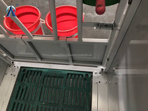 Caja de becerro de proveedor de China de servicio pesado de alta calidad/cajas de becerro individuales para granja - Product Image 2