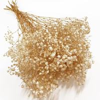 Mini Herbe de la Pampa Séchée en Gros - Fleurs Séchées Naturelles Écologiques Longue Durée pour Décoration de Noël DIY