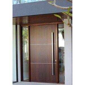 Porte d'entrée en fer forgé au Design moderne, portes extérieures avec feux latéraux, portes pivotantes modernes pour la maison, Blh-38 - Product Image 3