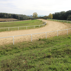 Clôture de cheval d'arène professionnelle avec rails de sécurité Breakaway idéal pour la clôture de course de chevaux d'entraînement de sprint <span class=keywords><strong>pur</strong></span>-<span class=keywords><strong>sang</strong></span> - Product Image 5