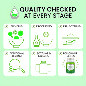 Suplementos de gomitas de clorofila OEM con musgo marino, baya de saúco Acv, zinc y vitamina C,D,E, B12 para soporte inmunológico y de digestión - Product Image 6