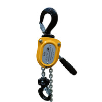 Mini palan à levier manuel Capacité de 250kg à 750kg Machines de levage à main avec chaîne à cliquet en acier G80 pour outil de levage