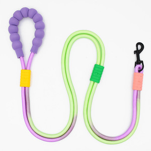 Guinzaglio per Cani Multifunzione Personalizzato, 10mm 12mm, Alta Densità, per Addestramento, Mani Libere, Tipo P Bicolore - Product Image 2