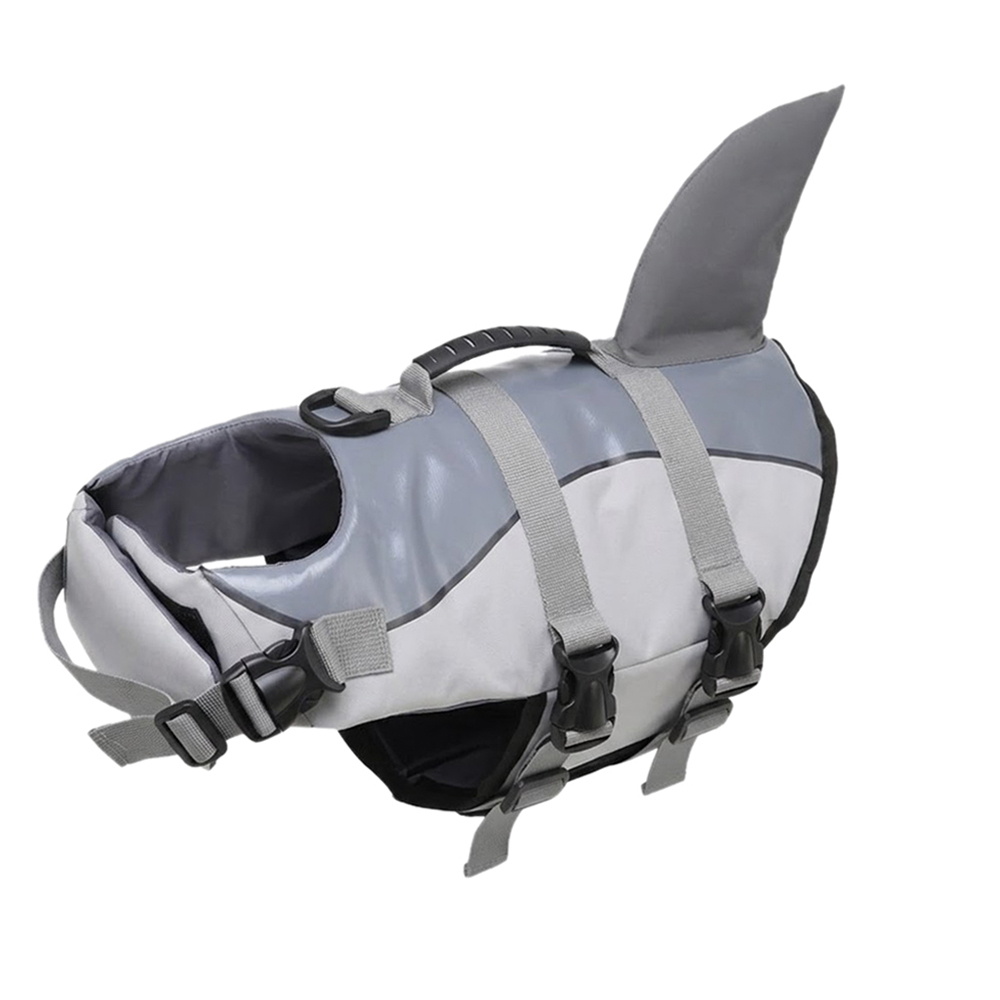 Great White Shark