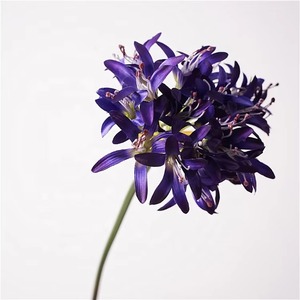 Flor púrpura Artificial Vintage europea de alta calidad Agapanthus <span class=keywords><strong>Africanus</strong></span> lirios flores de lirio africano de seda para decoración de boda - Product Image 3
