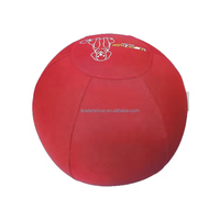 Pelota de Entrenamiento Resistente al Agua para Perros Medianos y Grandes, Pelota de Pastoreo con Funda Lavable 1680D 2520D
