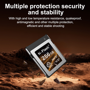 H-Flash Original <span class=keywords><strong>CFexpress</strong></span> Tipo B Tarjeta 128GB 256GB 512GB hasta 1750 MB/s Tarjeta de memoria PROFESIONAL Tarjeta CFe para video HD 8K - Product Image 4