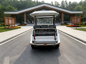 Carro de Boda Eléctrico Estilo Vintage para 4-5 Pasajeros, Limo Retro con Luces LED, Color Personalizado para Hotel o Resort - Product Image 2