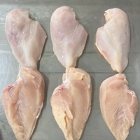 Poitrine de poulet surgelée IQF 100% naturelle de haute qualité 2026, emballage en vrac, qualité supérieure, sans graisses trans, excellent prix