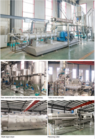 Ligne de production d'aliments pour animaux de compagnie 3000 kg/h, extrudeuse de granulés pour aliments secs pour chats et aliments flottants pour poissons
