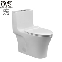 WC monobloc OVS Cupc, cuvette de toilette en céramique, couleur gris-noir, pour salle de bain, sanitaires modernes de luxe