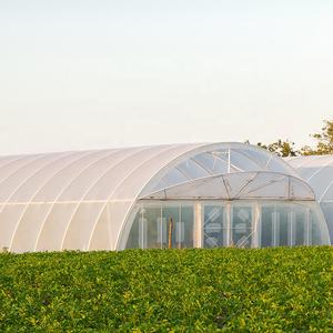 Invernadero de Túnel Metálico con Estructura de Polietileno para Agricultura, Suministro de Fábrica - Product Image 1