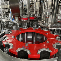 Projet clé en main automatique 12000bph 1L bouteille PET boisson gazeuse eau étincelante CSD Soda Cola Machine de remplissage