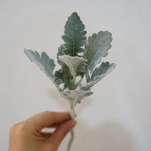 Veelzijdige Ins Grijs Zilverblad Chrysanthemum Gevlokt Hoorn Kunstmatige Groene Plant Bloemstuk Voor Woondecoratie Ornament - Product Image 5