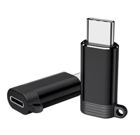 Adaptateur USB C mâle vers Lightning femelle portable FD01 pour la charge et le transfert de données Téléphone portable Tablette 10W Noir/Gris PVC/ABS