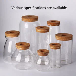 OEM <span class=keywords><strong>Terrarium</strong></span> Hydro ponic Pflanzen zylinder Vase Moos <span class=keywords><strong>Terrarium</strong></span> Wohnkultur Tischplatte <span class=keywords><strong>DIY</strong></span> Wald Pflanzer Glas mit Deckel für den Innenbereich - Product Image 6