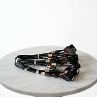 Kabel Harness Kustom OEM JST PH2.0 IP66 untuk Mobil, Motor & Komputer - Perakitan Kabel PVC/Tembaga Berlapis Timah IATF16949