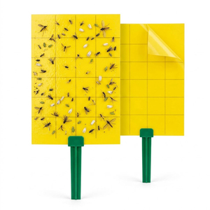Piège à insectes collant double face jaune non toxique en PP pour mouches des fruits, thrips et autres ravageurs volants, utilisation intérieure/extérieure - Product Image 1
