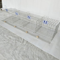 Système d'abreuvement automatique, porte de poulailler galvanisée à chaud, cages pour animaux, cage à poules pour poules pondeuses