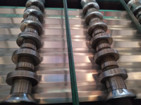 Dépasser la feuille de toiture en aluminium de conception différente de métal