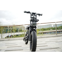 Livraison rapide Zerogo vélo électrique VTT électrique Cube Bici Elettrica vtt E vélos pour adultes