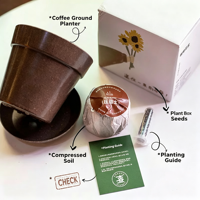 Kit de pot de fleurs DIY écologique en grains de café recyclés, conteneur pour plantes d'intérieur ou de bureau, graines à planter, pot de fleur