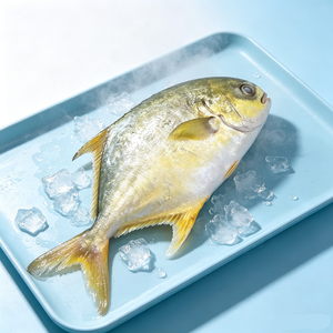 Buena Oferta, Suministro de Pescado Pomfret Dorado Entero de 300-400g, 400-600g, <span class=keywords><strong>Trachinotus</strong></span> <span class=keywords><strong>Ovatus</strong></span> - Product Image 1