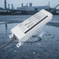 Alimentation Électrique Étanche à Prix Abordable 100V-265V AC vers DC 12V/24V pour Extérieur, de 15W à 400W pour Éclairage LED