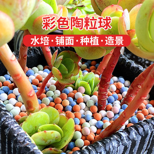 Galets d'argile colorés pour base de pot de fleurs, décoration de plantation, fournitures de jardinage - Product Image 2