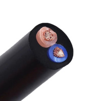 Cable de alimentación con revestimiento impermeable para exteriores de cobre estándar RVV 2 núcleos 3 núcleos 10 16 25 35mm Cable trifásico 450V/750V