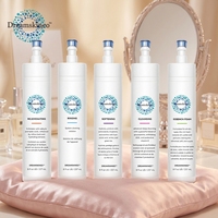 Dispositivo Facial Portátil de Hidro-Serum Estético para Almacén, Máquina Facial Jet Peel, Equipo de Belleza Hydra, Potenciador de Suero