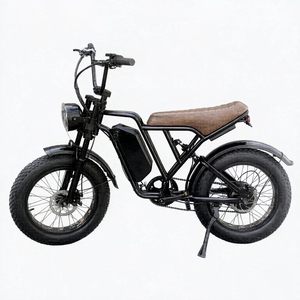 Bicicleta Eléctrica de Montaña de 48V18AH, 20 Pulgadas, Neumáticos Anchos, Motor en la Rueda Trasera, Doble Suspensión, Freno de Disco Hidráulico - Product Image 1