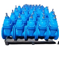 Vanne à opercule en fonte ductile F4 F5 à siège résistant, non relevable, vente directe usine