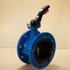 Fabricant OEM en gros de raccords manuels en fonte ductile conformes aux normes ANSI/DIN/JIS - Product Image 1