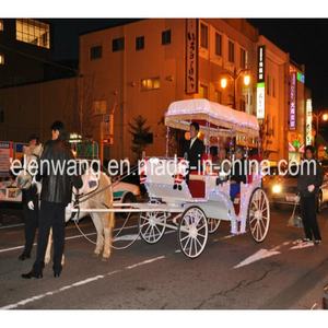 Assepoester Koninklijke Paardenkoets Fabrikant Harnas Voor Toeristische Paardenkoets - Product Image 6