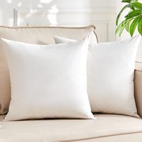 Coussins décoratifs modernes en polyester 100 % pour la maison, oreillers carrés moelleux, vente en gros