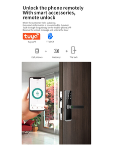 Cerradura Inteligente Wi-Fi con Seguridad por Aplicación Tuya OEM/ODM, Serie 5050, Cerradura de Embutir con Huella Dactilar y Contraseña para Puertas de Aluminio, Uso Doméstico en la Nube, S1-1T - Product Image 6
