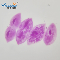 Medical Science Parasitology Student Training Microscope Prepared Slides Parasitology Slides Microscope Prepared Slides