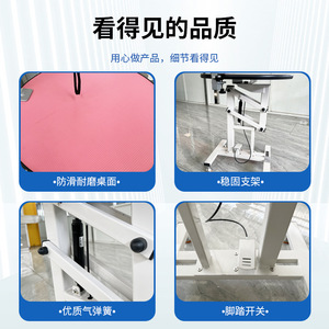 Table de toilettage électrique pour animaux de compagnie, hauteur réglable, en acier inoxydable, pour le coiffage des chiens et des chats et l'utilisation en animalerie - Product Image 3