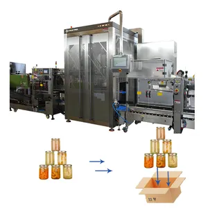 Robotic Wrap Around Case Packer For Beverage Bottle