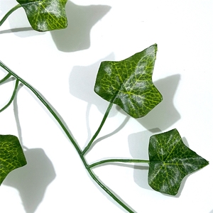 LUYI - Lot de 12 guirlandes artificielles de 25,6 m (84 pieds) en fausses feuilles de <span class=keywords><strong>lierre</strong></span>, plantes suspendues pour la décoration esthétique de la <span class=keywords><strong>chambre</strong></span> - Product Image 6